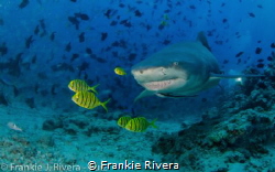 The Lady with a big smile! by Frankie Rivera 